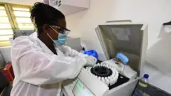 ተመራማሪ