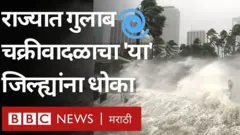 गुलाब