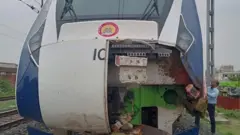 எருமை மாடு கூட்டம் மீது மோதிய வந்தே பாரத் ரயில் சேதம்