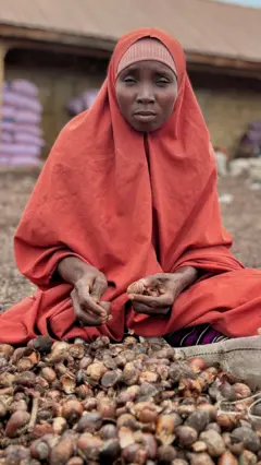 Woman woman on shea nuts