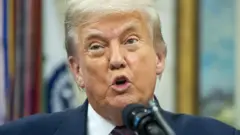 US President Donald Trump speaks in front of a microphone at the White House. He is wearing a navy suit and navy tie with red polka dots.