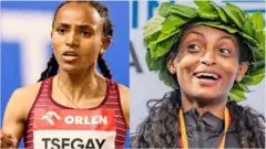 ጉዳፍ (ፀጋም) ፤ ትዕግስት (የማን)