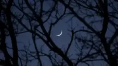 Maalin maalmaha ka mid ah 2005tii, cisbitaalkii uu ka shaqaynayey dhakhtarka dhimirka David Avery ee Seattle, Maraykanka, waxa la dhigay bukaan 35 jir ah oo ahaa,injineer jecel in uu diiradda saaro xisaabta.