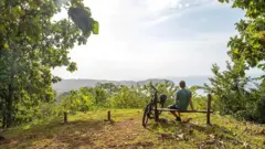 Un homme assis sur un banc regardant le paysage qui s'offre à lui.