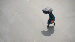 umbrella