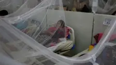 বাংলাদেশে প্রতিবছরই কমবেশি ডেঙ্গু রোগের প্রকোপ দেখা যায়।