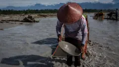 penambang emas ilegal papua