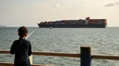 El buque portacontenedores Navios Constellation navega bajo bandera liberiana frente a un niño que pesca en Ciudad de Panamá.