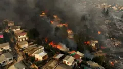 Aerial view of the forest fire that affects the hills of the city of Viña del Mar in the Las Pataguas sector, Chile, taken on February 3, 2024. Vina del Mar is a city within the Valparaiso region.