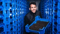 ラリー・コッチは、イギリスの自治体がハエのハエを使用して食物廃棄物を治療することを許可されることを望んでいます。