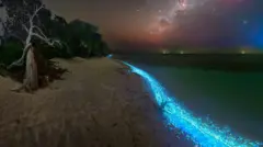 మాల్దీవుల్లో సీ ఆఫ్ స్టార్స్ బీచ్