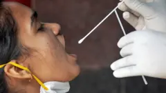 परीक्षण
