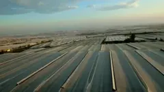 Invernaderos en Almería