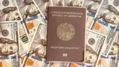 паспорт ва пул