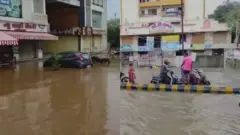નવસારી