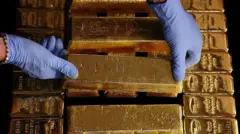 ان دنوں سونے کی قیمت اپنی ریکارڈ سطح پر ہے اور اس میں اضافے کا امکان نظر آتا ہے