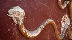Relieve de serpiente en una pared