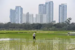 Nông dân bên cạnh dự án căn hộ ở Hà Nội