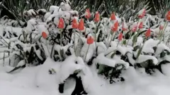 Aprilski sneg zavejao Srbiju