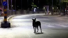 રાત્રી કર્ફ્યુ