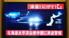 テレビ画面に夜の港と照明をつけた船が映っている。上部には「津波！にげて！」、下部には「北海道太平洋沿岸中部に津波警報」という大字幕が出ている