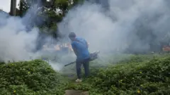 基孔肯雅热：广东佛山出现集中爆发，这种病毒的病徵、预防与治疗方法