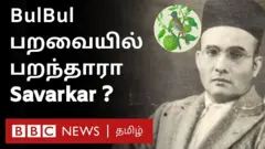 கர்நாடகா மாநில பள்ளிப் பாட புத்தகத்தில் இடம்பெற்ற ஒரு பாடத்தில் வீர சாவர்க்கர் தொடர்பான தகவல், சமூக ஊடகங்களில் வைரலாகி வருகிறது.