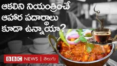కొన్ని ఆహార పదార్థాలు ఆకలిని నియంత్రిస్తాయా, పరిశోధనల్లో ఏం తేలింది?