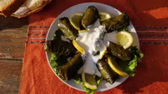 sarmica od vinove loze