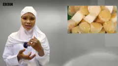 Zainab Iliyas Muhammad RDT