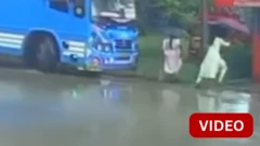 பயணிகள் நிழற்குடை மீது பேருந்து மோதிய சிசிடிவி காட்சி
