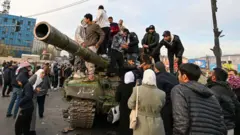شام، باغی