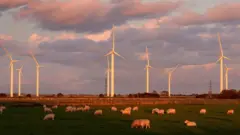 Rüzgar enerjisi