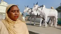 ਕਰਮਜੀਤ ਕੌਰ, ਮੈਂਬਰ ਪੰਚਾਇਤ