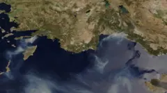 Uydu