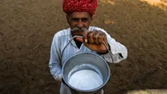 ડેરીઉદ્યોગ