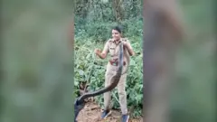 Šumarka uhvatila kobru dugačku šest metara u Indiji