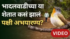 पुण्यात पक्षी अभयारण्य