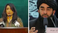 افغانستان پاکستان