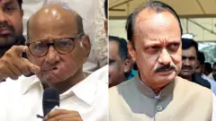 శరద్ పవార్, అజిత్ పవార్