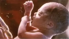 प्रातिनिधिक फोटो