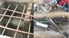 Aja ilẹ ati oogun ibilẹ