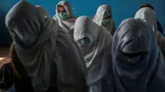 د ښوونځیو زده کوونکې