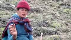 यार्सागुम्बा भेटाएपछि एक सङ्कलक