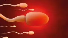 சுய இன்பப் பழக்கம்