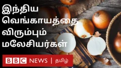 மலேசியா: `இந்திய வெங்காயம்தான் வேண்டும்` - விருப்பம் தெரிவிக்கும் மக்கள்; அதிகரிக்கும் விலை
