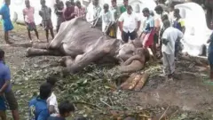 ටිකිරි