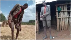 ብርሄ ጋሹ