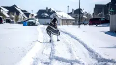 Una persona cruza caminando en una calle totalmente cubierta de nieve.