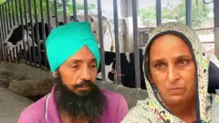 ਲੁਧਿਆਣਾ